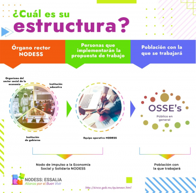 ¿Cúal es su estructura?