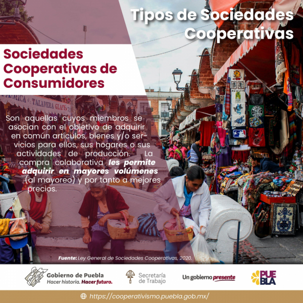 Sociedades Cooperativas de Consumo