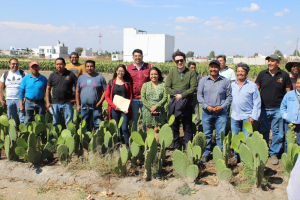 Impulsa gobierno estatal cooperativas agrícolas en San Andrés Cholula